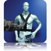 Elite Speed Resistor + Shoulder Harness + Waist Belt