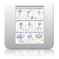Chart - Strength Training Anatomy - Shoulders